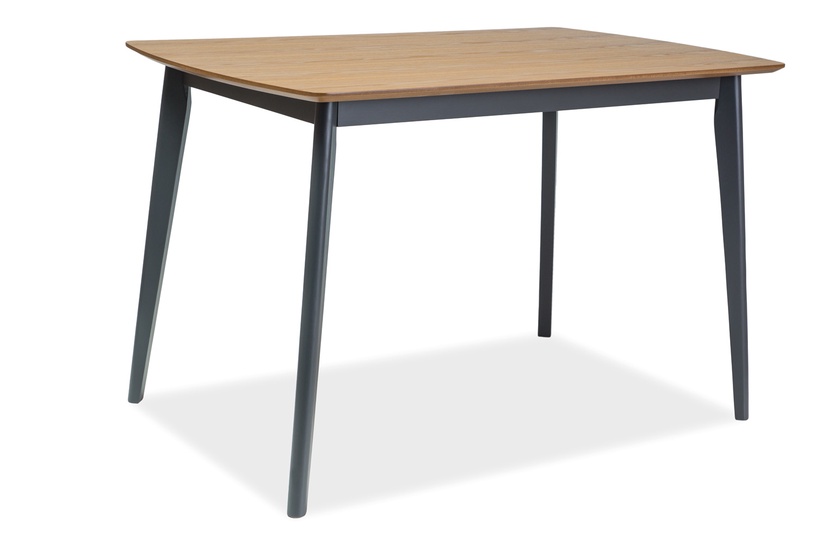 Обеденный стол Modern Vitro, серый/дубовый, 120 см x 75 см x 75 см