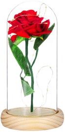 Декорация Springos Eternal Rose in Glass, прозрачный/красный/зеленый, 11 см x 11 см x 22 см