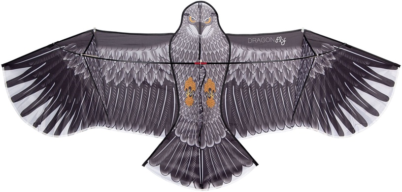 Tuulelohe Dragon Fly Eagle, 80 cm x 180 cm, must/antratsiit