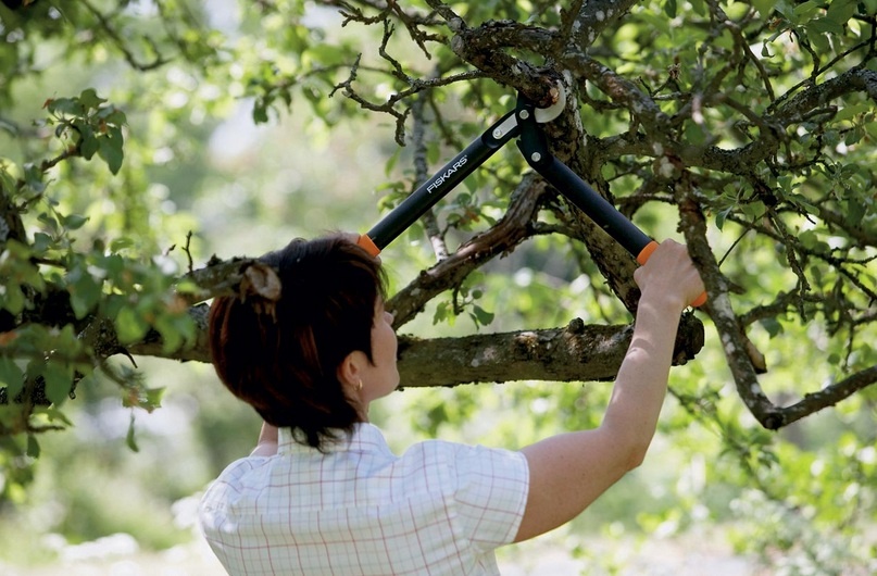 Секатор для веток для зеленых ветвей Fiskars 112190/1002104, 52.5 см