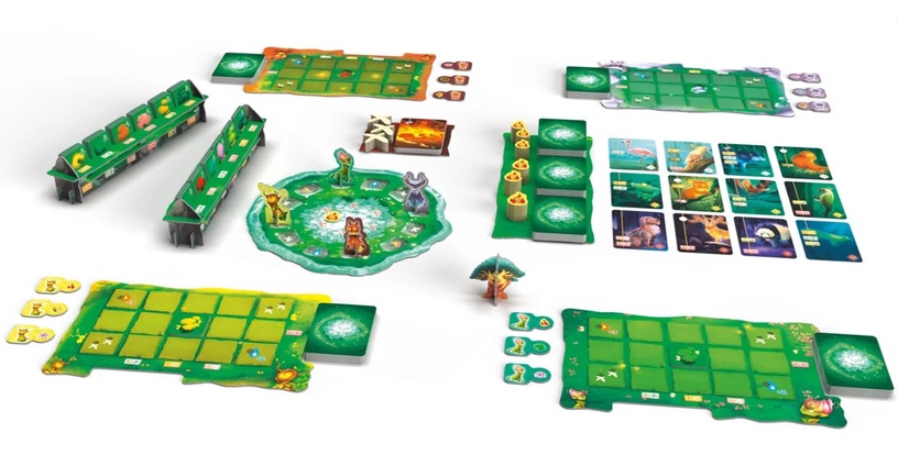 Lauamäng Brain Games Living Forest, LT LV EE