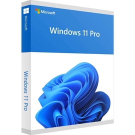 Programinė įranga Microsoft Windows 11 Pro ENG x64 DVD OEM