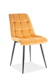 Söögitoa tool Chic Velvet, kollane, 43 cm x 50 cm x 88 cm