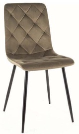 Valgomojo kėdė Jerry Bluvel 77, alyvuogių žalia, 39 cm x 45 cm x 91 cm