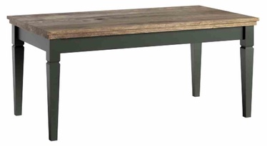 Журнальный столик Helvetia Evora 99, дубовый/темно-зеленый, 110 см x 60 см x 49.8 см