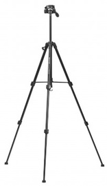 Alus Promate Precise-150