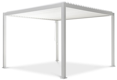 Lapene Pergola Premium, 300 cm x 250 cm