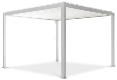 Pavėsinė Pergola Premium, 300 cm x 250 cm