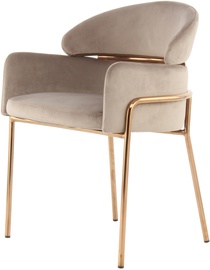 Ēdamistabas krēsls Kayoom Elva 100 XRXLV-TAU, spīdīga, zelta/bēša, 57 cm x 58 cm x 79 cm