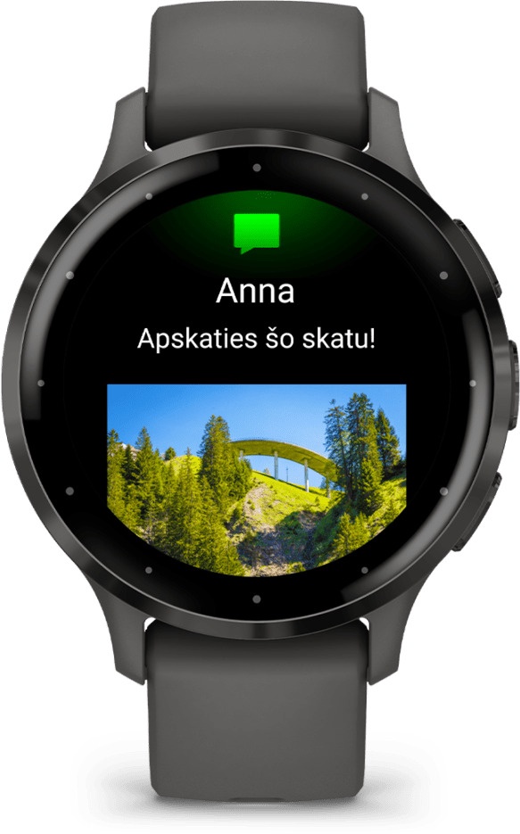 Умные часы Garmin Venu 3S 010-02785-00, серый