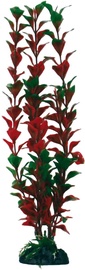 Dekoratsioon Croci Ludwigia XL A8011926, punane/roheline