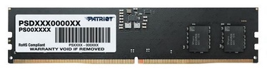 Оперативная память (RAM) Patriot Signature, DDR5, 16 GB, 5600 MHz