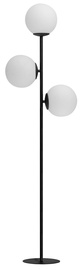 Stāvlampa TK Lighting Celeste 3, 180 W
