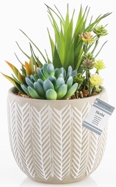 Kunsttaim potis, sukulent AmeliaHome Artflower Herbi, roheline/beež, 220 mm