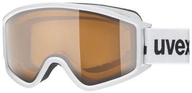 Лыжные очки Uvex 3000 P