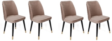 Ēdamistabas krēsls Kalune Design Hugo 364 V4 974NMB1592, spīdīga, zelta/melna/bēša, 49 cm x 50 cm x 90 cm, 4 gab.