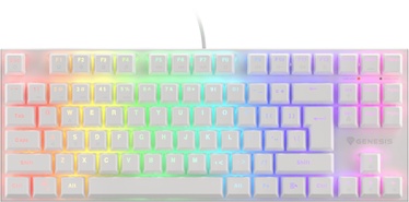 Klaviatūra Genesis Thor 303 TKL RGB White Outemu Brown EN, balta