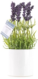 Искусственное растение в горшке, лаванда Mark Lavendi, белый/зеленый/фиолетовый, 27 см