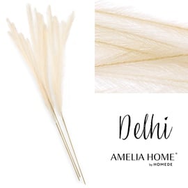 Dekorācija AmeliaHome Pampas Delhi 10625701, 125 cm, salmi, krēmkrāsa