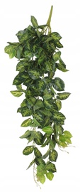 Kunsttaim Splendid Variegata, roheline, 100 cm