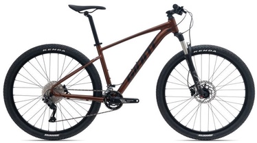 Dviratis kalnų Giant Talon 29 1­-GE, 29 ", S rėmas, rudas