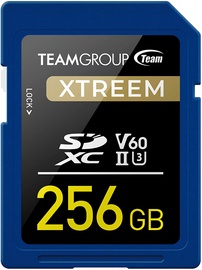 Atmiņas karte Team Group Xtreem, 256 GB