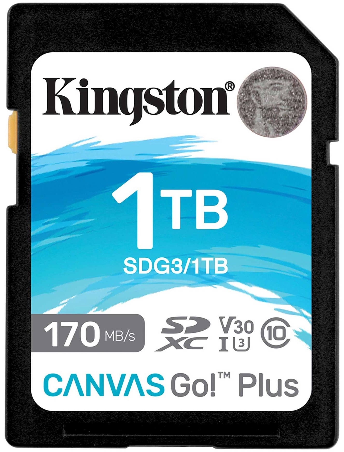 AtmiņaskarteKingstonCanvasGo!PlusSDG3/1TB,1TB,170Mb/s-90Mb/s