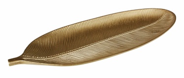 Kandik Splendid Asuan, polüresiin, 2.5 cm, kuldne