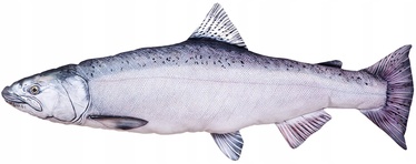 Dekoratiivne padi Gaby Salmon, hõbe, 90 cm