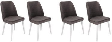 Valgomojo kėdė Kalune Design Tutku 321 V4 974NMB1612, matinė, balta/antracito, 49 cm x 50 cm x 90 cm, 4 vnt.