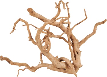 Dekoratsioon Zolux Spider Root 30 356051