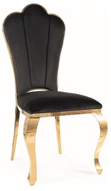 Стул для столовой Queen QUEENVZCL, матовый, золотой/черный, 46 см x 53 см x 111 см