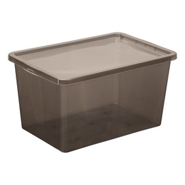 Uzglabāšanas kaste Plast Team Basic Box, 52 l, pelēka, 59.5 x 39.5 x 31 cm