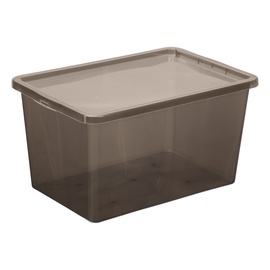 Daiktadėžė Plast Team Basic Box, 52 l, pilka, 59.5 x 39.5 x 31 cm