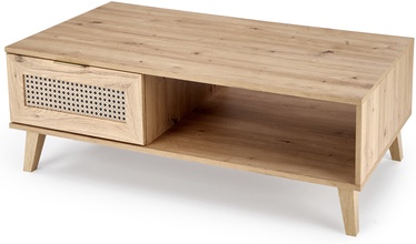 Kohvilaud Borneo LAW-1, tamm, 120 cm x 60 cm x 41 cm