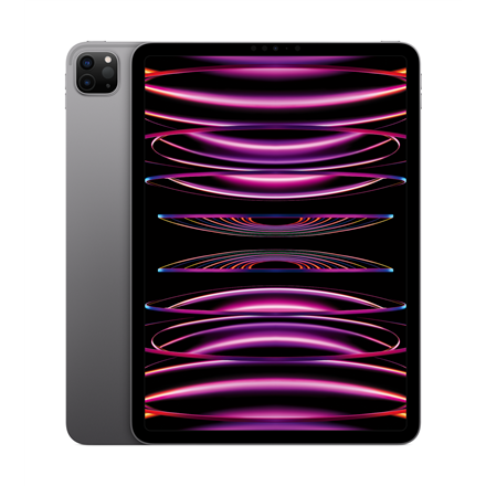 Tahvelarvuti Apple iPad Pro 11" Wi-Fi 256GB - Space Gray 2022
