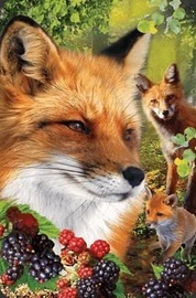 3D kaart Worth Keeping Mini Card 3D Fox 182654, 9 cm x 5.8 cm