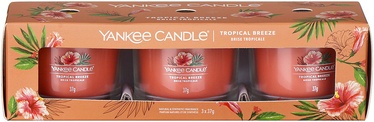 Žvakių rinkinys, aromatinis Yankee Candle Tropical Breeze, 10 h, 37 g, 48 mm, 3 vnt.