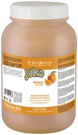 Šampoon Iv San Bernard Fruit Of The Groomer, 3.25 l