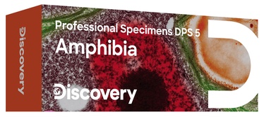 Proov Discovery Prof Specimens DPS 5. “Amphibia”