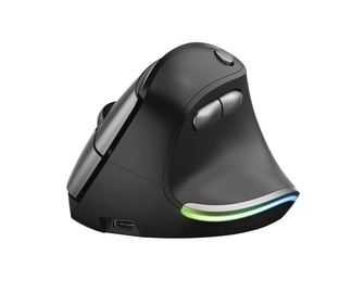 Arvutihiir Trust Wireless Rechargeable Ergonomic Mouse, must