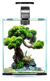 Аквариум Aquael 326193, черный, оборудованный, 10 л