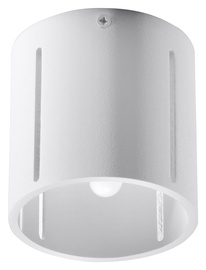 Lampa Sollux Inez, plafons, 40 W, G9