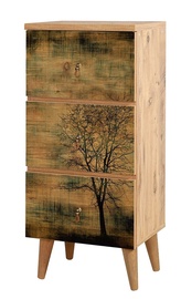 Kummut Kalune Design Radix 729, mänd, 35 x 42 x 100 cm