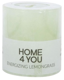 Svece, aromātiskā Home4you Scented Candle Energizing Lemongrass, 30 h, 72 mm