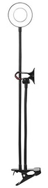 Apgaismojums Tracer TRAOSW46827, melna