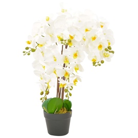 Mākslīgie ziedi puķu podā, orhideja VLX Orchid, balta/zaļa, 60 cm