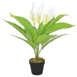 Mākslīgie ziedi puķu podā, antūrija VLX Anthurium, balta/zaļa, 55 cm