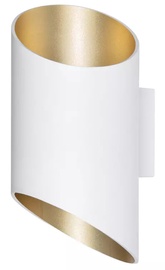 Nutivalgustus seinale Ledvance Wifi Smart+ Orbis Cylindro, 12 W, LED, 3000 - 6500 °K
