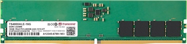Operatīvā atmiņa (RAM) Transcend JM4800ALG, DDR5, 8 GB, 4800 MHz